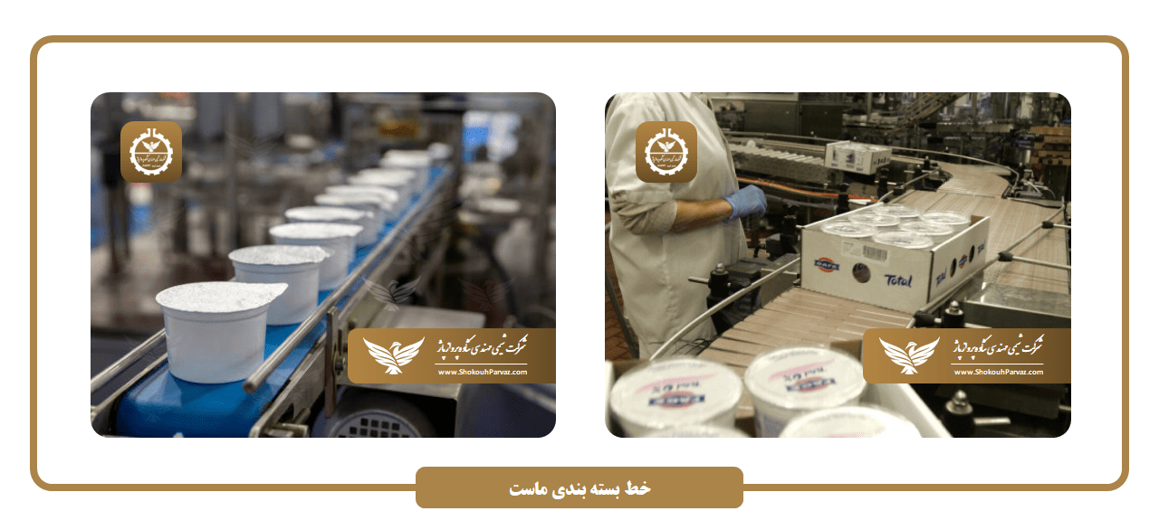 خط بسته بندی ماست
