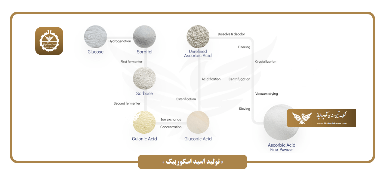 تولید اسید اسکوربیک